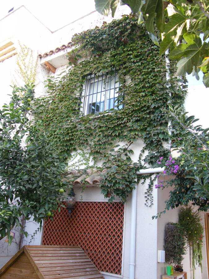 2 bedroom house / villa for sale in Daya Vieja, Costa Blanca